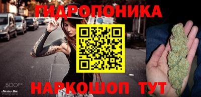 мяу мяу мука Новозыбков