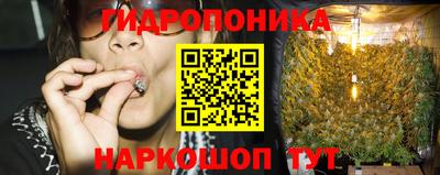 мяу мяу мука Новозыбков