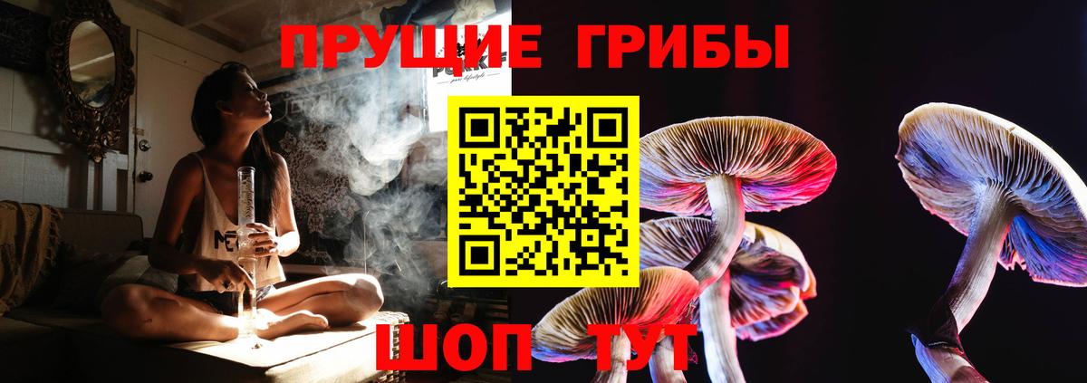 Галлюциногенные грибы мицелий  Галлюциногенные грибы Magic Shrooms  Артём  Вход с VPN 